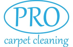 Pro Carpet Cleaning